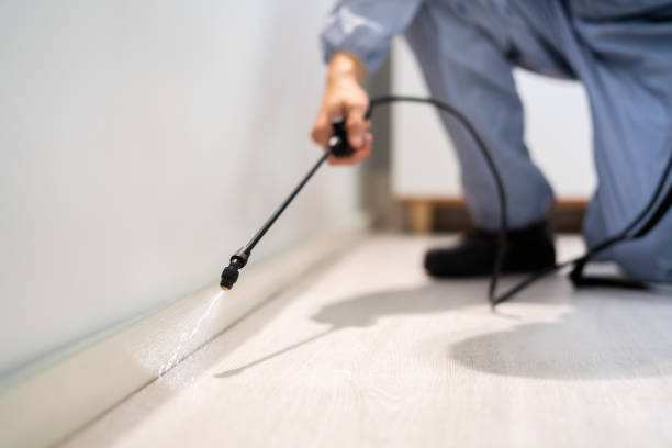 Professional exterminator conducting IPM assessment in Robbins